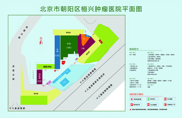 大鸡巴插死我好爽视频北京市朝阳区桓兴肿瘤医院平面图